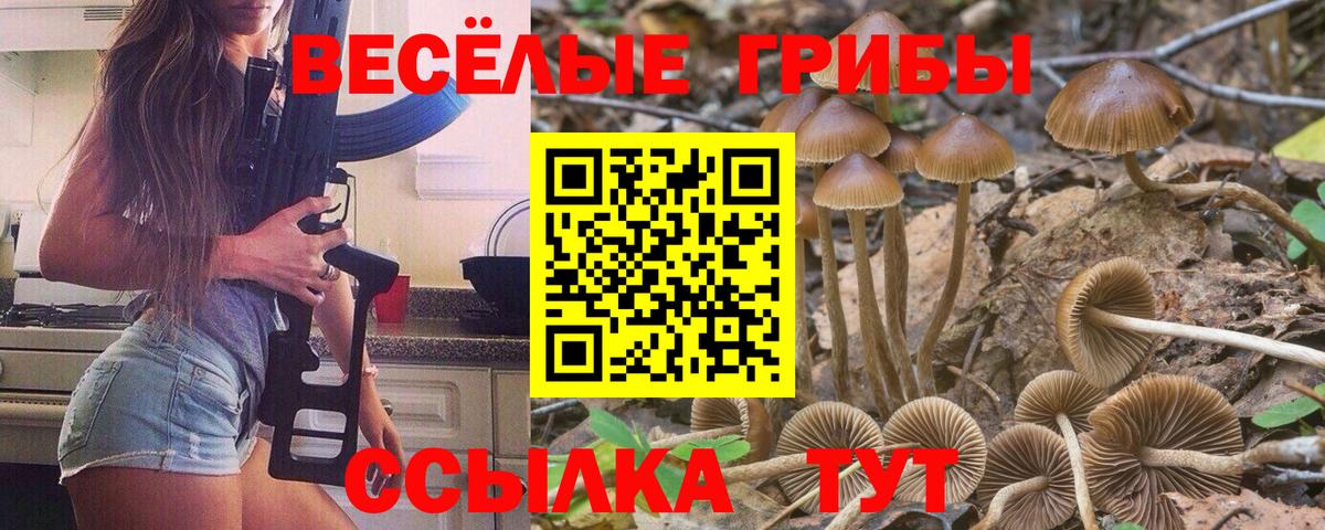 Электросталь  как найти закладки  Вход с VPN  Галлюциногенные грибы Magic Shrooms 